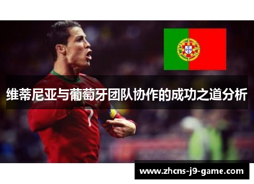 维蒂尼亚与葡萄牙团队协作的成功之道分析
